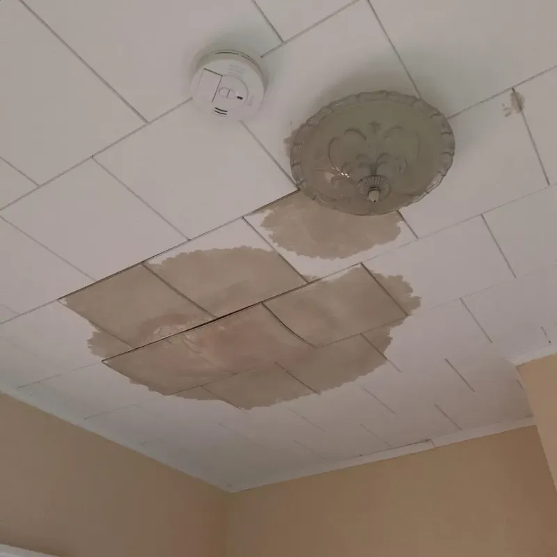 Ceiling Water Damage Repair in Westmont, PA