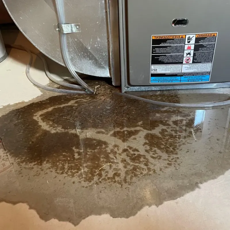 Pipe Burst and Leak Restoration in Westmont, PA